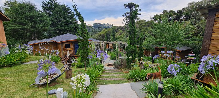 Cabana com hidromassagem interna e linda vista para mata | T