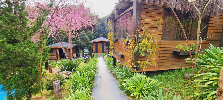 Cabana com hidromassagem interna e linda vista para mata | T