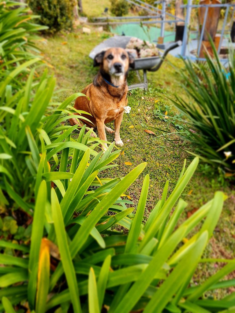 Suíte Grega com banheira de hidromassagem